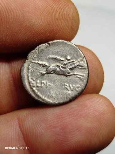 Calpurnia denier 67ac - calpurnia, ,