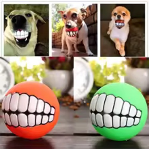 Jouet chien balle - à, mâcher