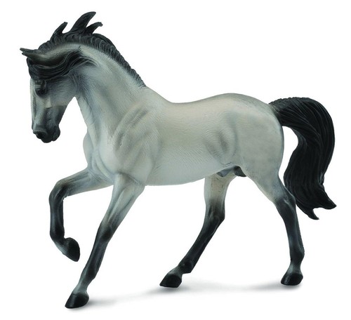 Modèle cheval étalon - modèle,