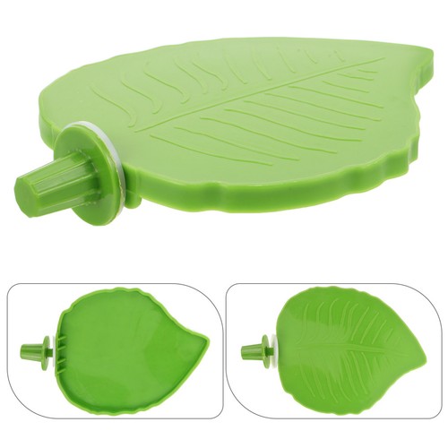 Pcs perchoir pour calopsitte - pour,