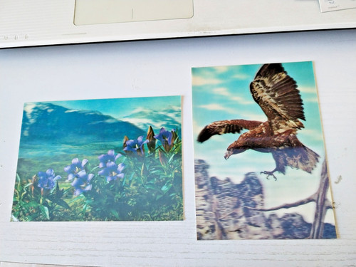 Cartes postales relief - 5,