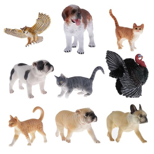 Beaux animaux compagnie - animaux,