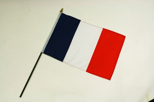 Drapeau france 45x30cm hampe - france,