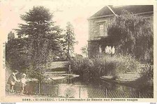 22 - Saint Brieuc - Les Promenades de Bassin aux Poissons rouges - Animée - Cart