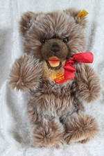 Ours brun à gueule ouverte