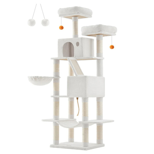 Grand arbre chat tour - arbre, de
