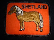 Écossais Cheval Race Poney