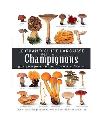 Grand guide larousse des - grand,