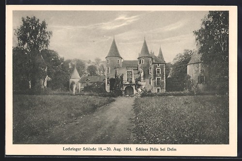 Cpa delm lothringen château - cpa,