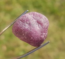 Rubis brut Longido Tanzanie