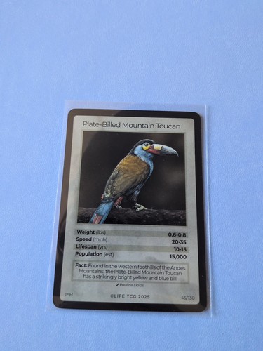 Life tcg birds plate billed - birds, :