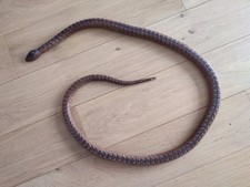 Grand Serpent Ancien Jouet