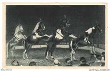 ASKP8-0476-CIRQUE - Une exclusivite RADIO-CIRCUS - LA PYRAMIDE A QUATRE CHEVAU