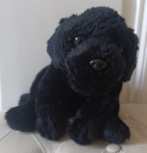 Doudou peluche chien - doudou/peluche,