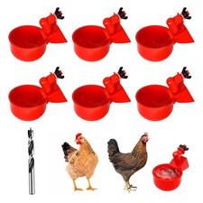 Gobelets à Eau de Poulet