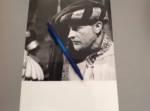 Thierry fronde photo - fronde,