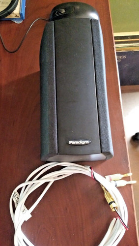 Speaker paradigm monitor - 1,