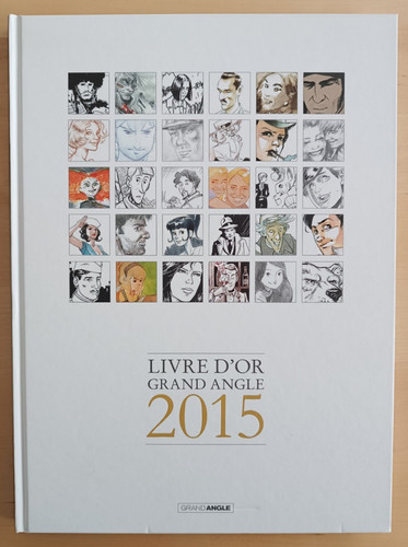 Livre grand angle 2015 - livre,