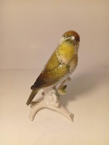 Karl ens volksdedt - volksdedt., oiseau