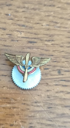 Insigne reduction officier - insigne,