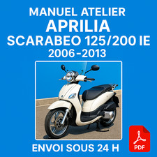 Manuel Atelier Aprilia