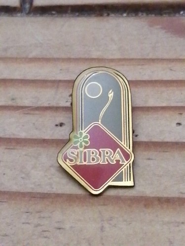 Pin pins enamel - pin, 1