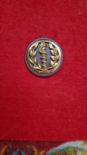 Insigne béret service de - de,