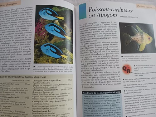 Guide aquarium marin - guide,