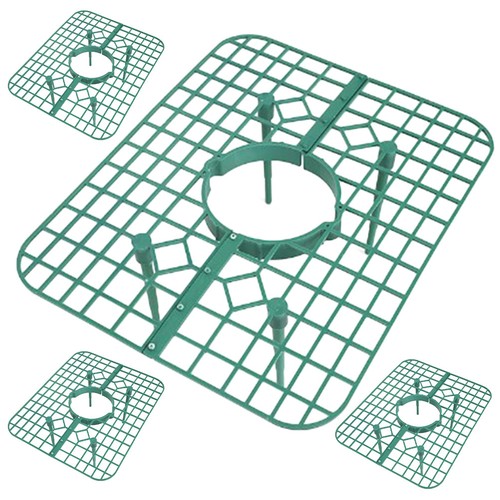 Lot supports à - lot, fraises