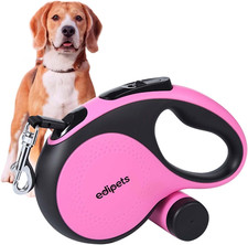, Laisse Chien, Enrouleur, Extensible, Rétractable, 5 Mètres, Laisse Flexible De