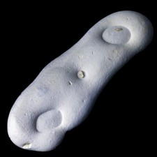 ★☆ GOGOTTE MAROC de