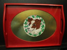 Jack Russell terrier puppy dog