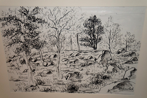 Dessin encre foret de - encre,