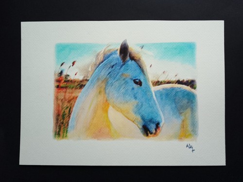 Aquarelle cheval camargue - aquarelle,
