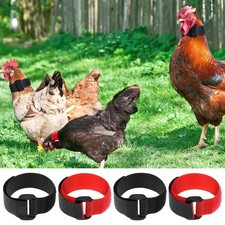 Collier de coq 4 pièces