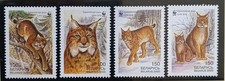 TIMBRE STAMP 4 BELARUS Y&T#346-49 LYNX NEUF**/MNH-MINT 2000 ~F42