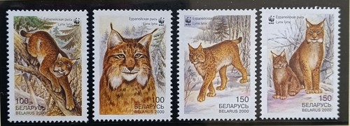 Timbre stamp belarus - 4,