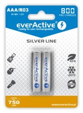 Pack de 2 batteries
