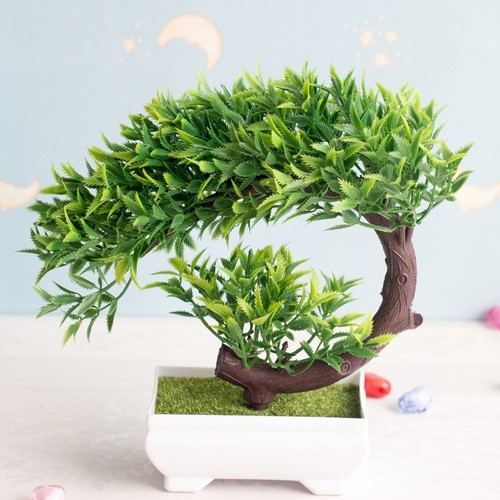 Plante pot plastique herbe - plante,
