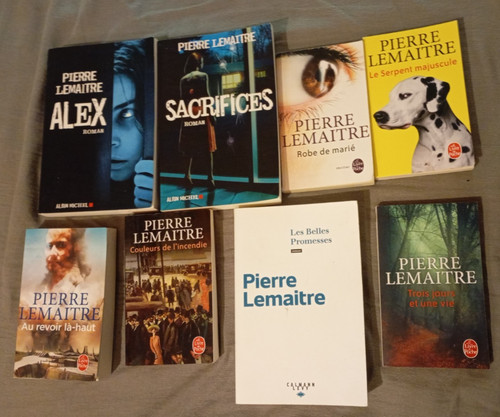 Lot pierre lemaitre - pierre, les