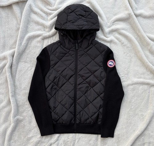 Canada goose black - canada,