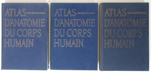 Atlas anatomie corps - atlas, d'anatomie