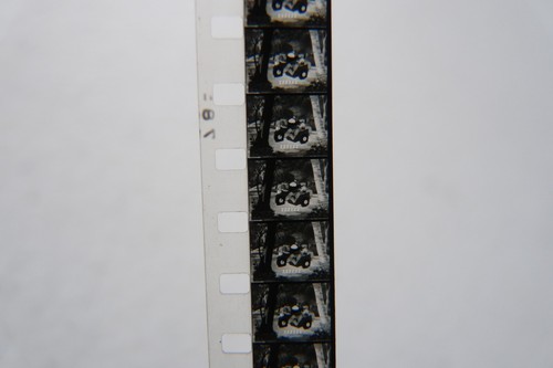 Film animation foxy flat - film, d'animation