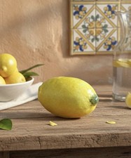 Ancien Citron / Cédrat en
