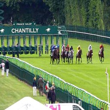 Méthode de TURF:  LE CHEVAL
