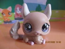 Petshop Chinchilla #799