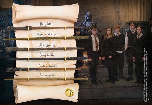 Harry potter présentoir - potter, 6