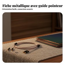 Câble Platine Vinyle Cuivre