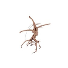 Aquarium Racine Déco