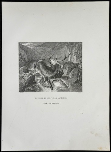 1862 mort cerf - la, par